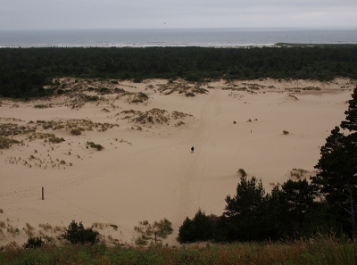 [A small speck of a walking man is in the middle of a multitude of foot tracks through the sand perpendicular to the horizon/ocean. He must traverse not only the sand, but also the band of vegetation separating him from the ocean in order to see the water.]